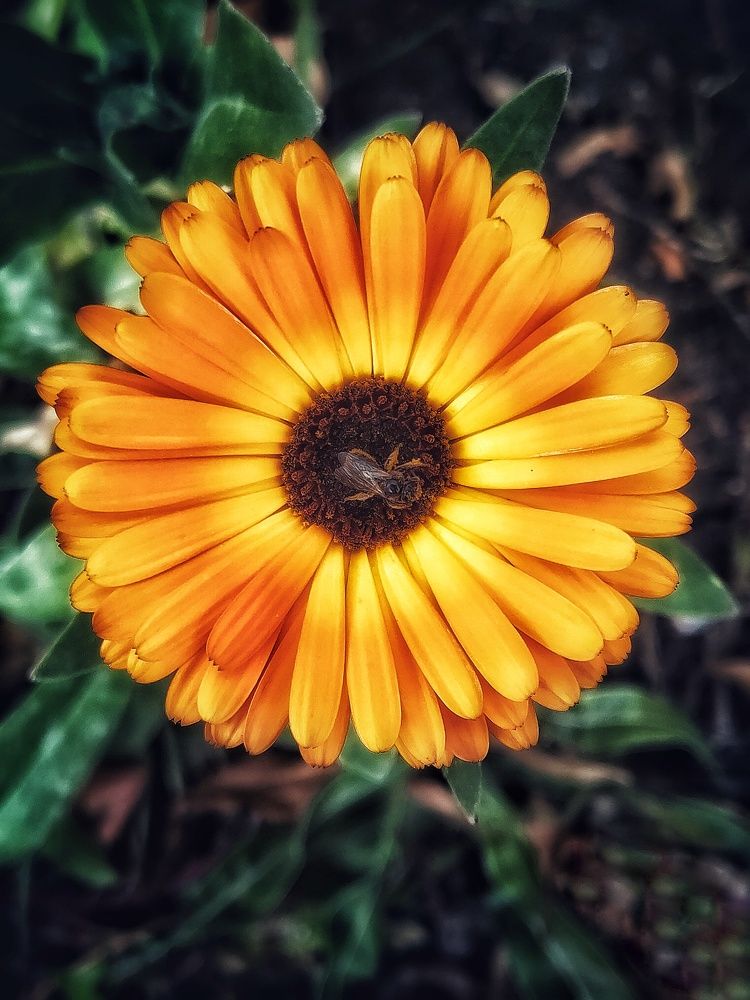 Фотография автора Ольга Игуменова