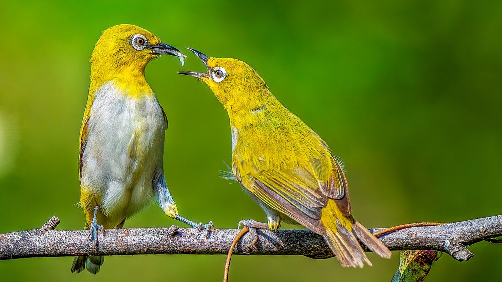 Photograph by Sayan Chatterjee