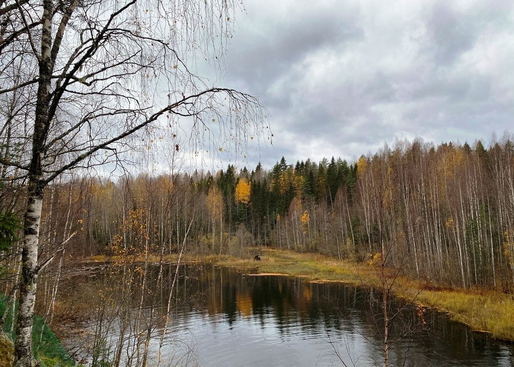 Осенний пейзаж.