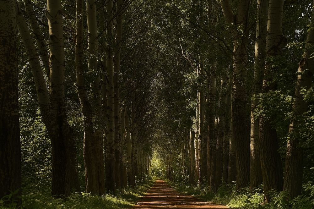 Photograph by Ирина Ситникова