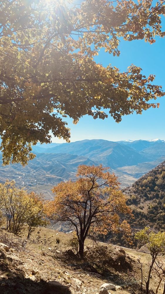 Photograph by Оксана Беляева