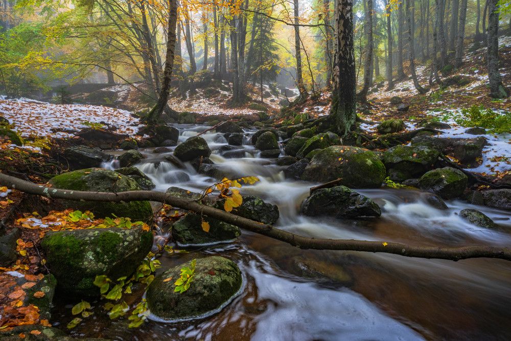Autumn in Vitosha mountain