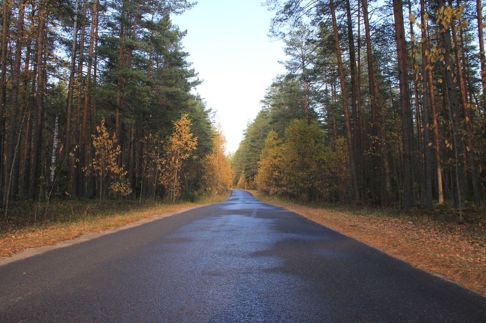 Photograph by Ангелина Крылова