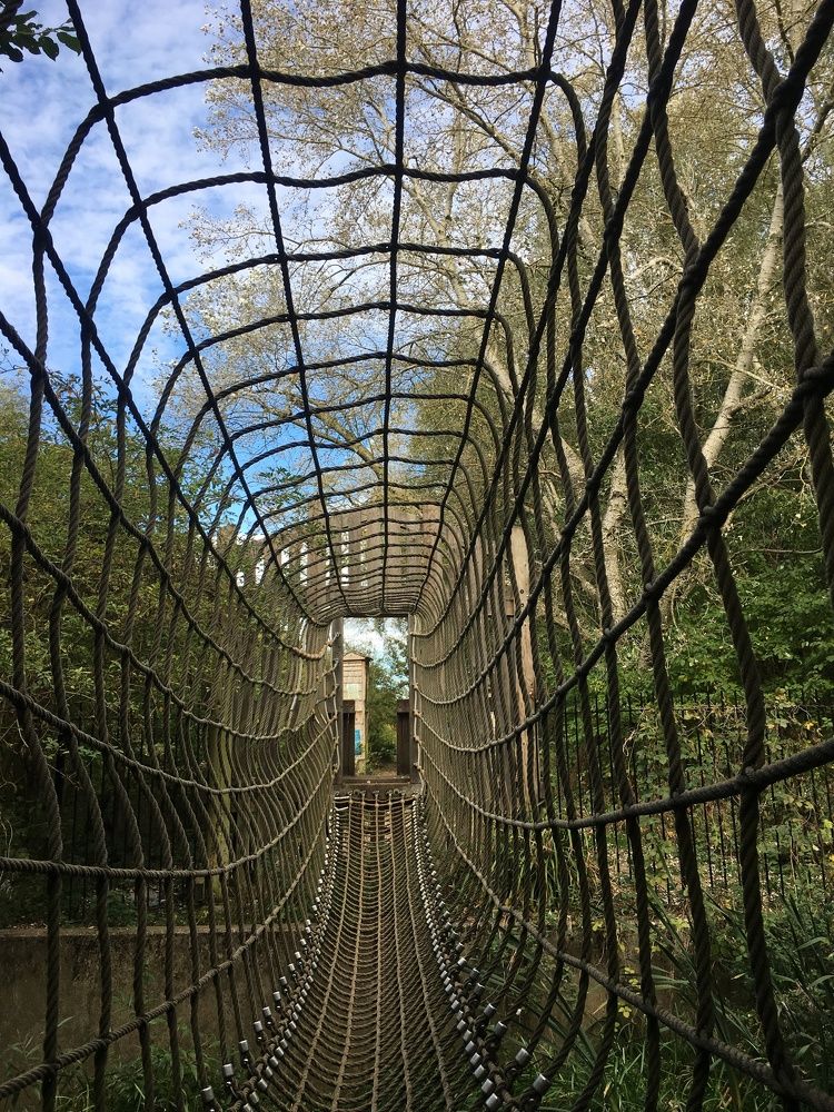 Photograph by Sharad vadoliya