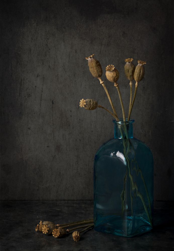 Photograph by Галина Щипакина