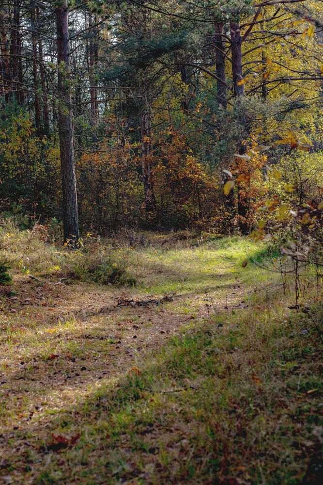 Photograph by Светлана Михайлова