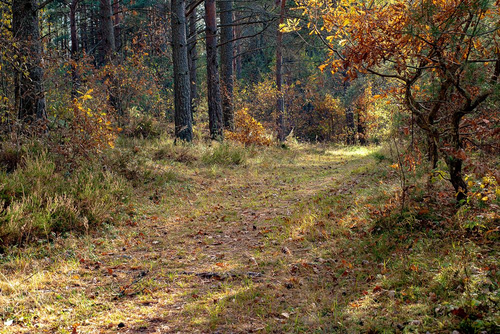 Photograph by Светлана Михайлова