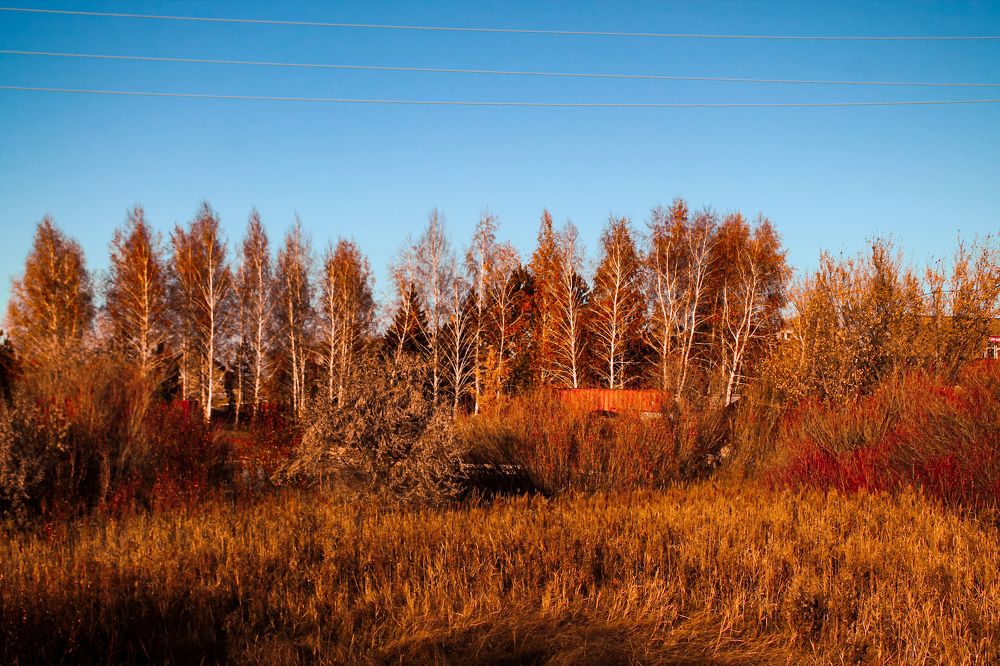 Photograph by Damir Aibasov