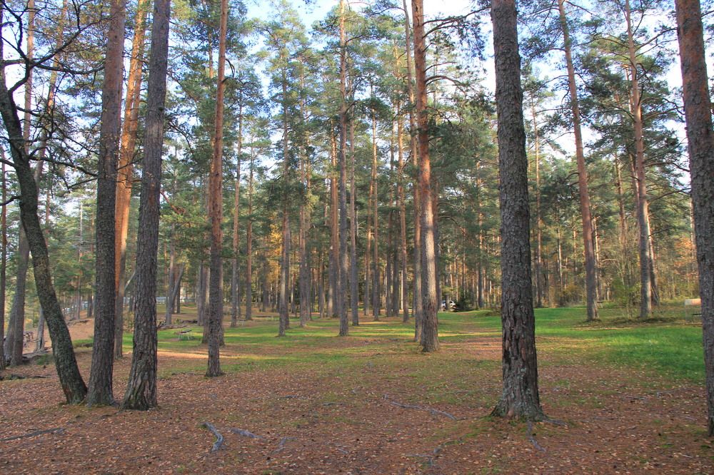 Photograph by Ангелина Крылова
