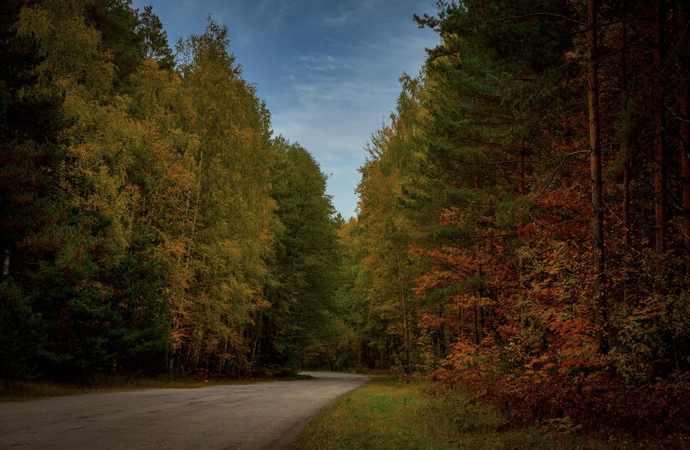 Photograph by Дмитрий Черепков