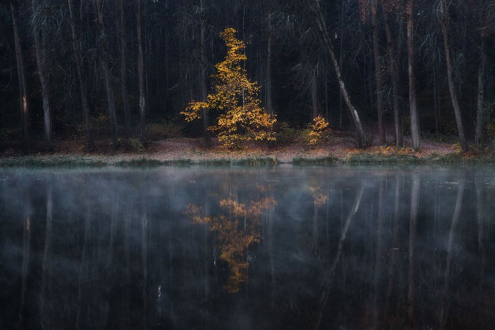 Photograph by Андрей Баскевич