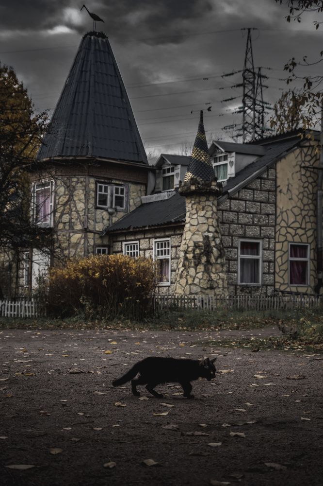 Photograph by Светлана Гонская