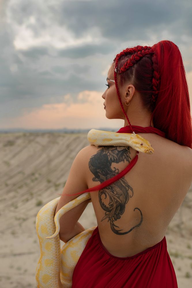 Фотография автора Альбина Богданова