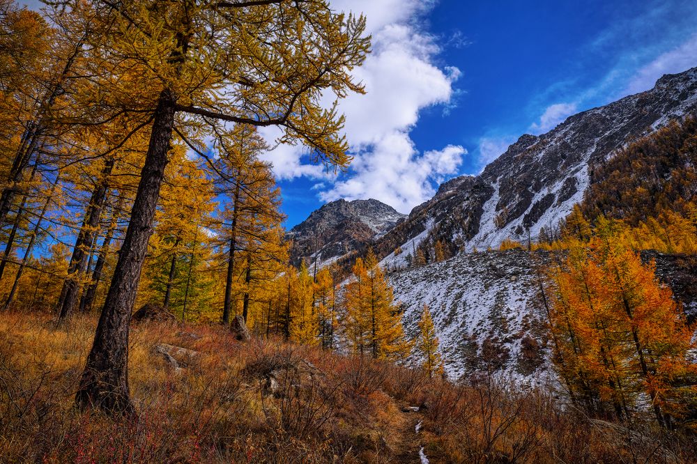 Photograph by Иван Рочев