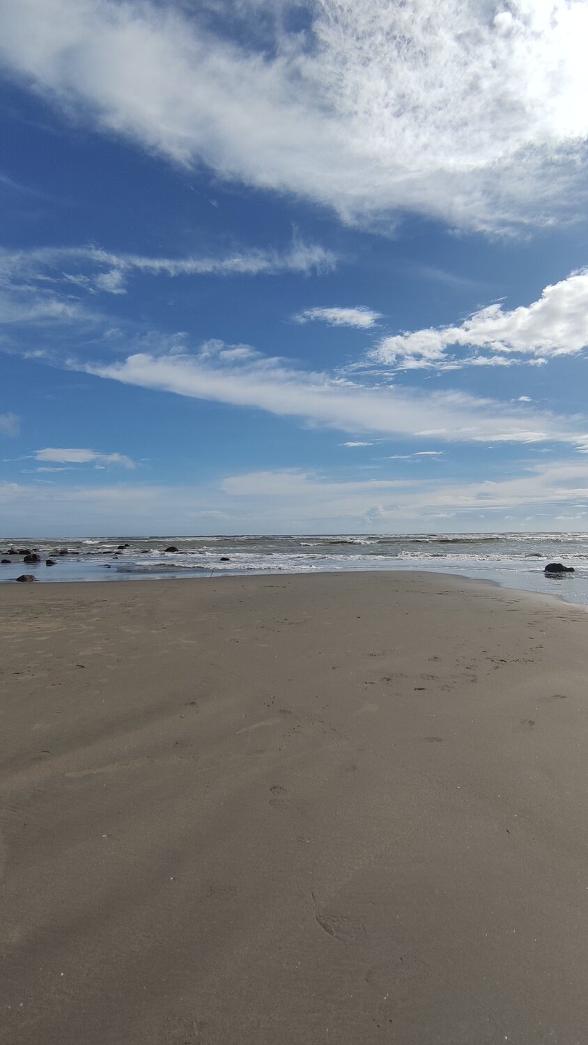 Photo #6611877