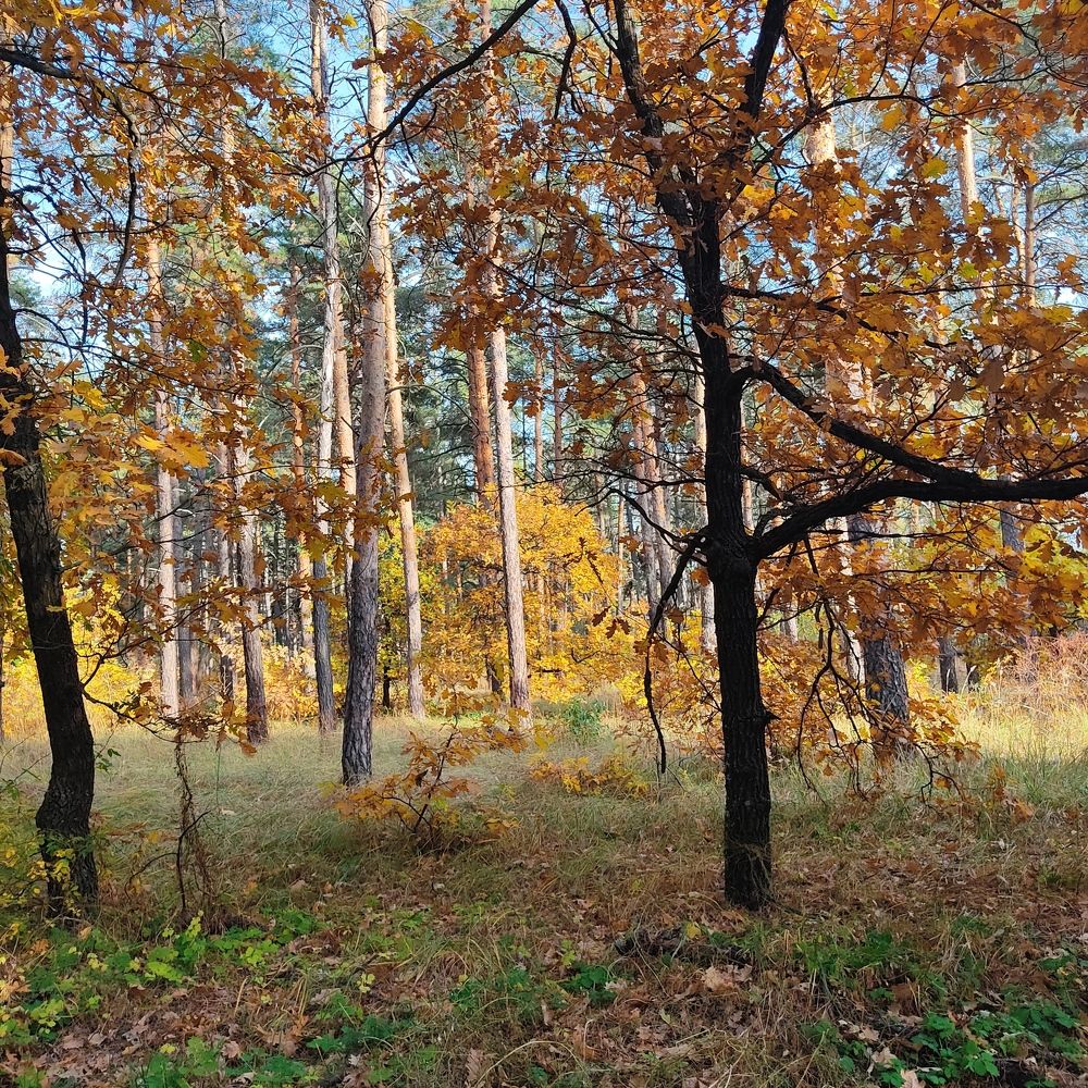 Photograph by Фаина Мирошниченко