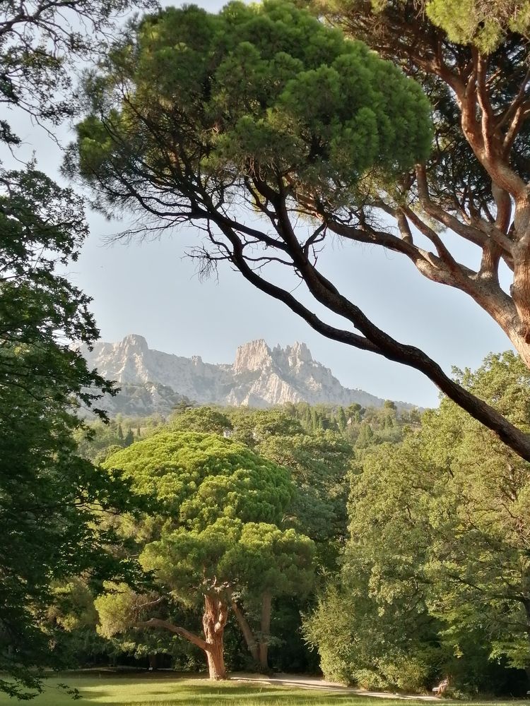 Photograph by Andrei Kramskov