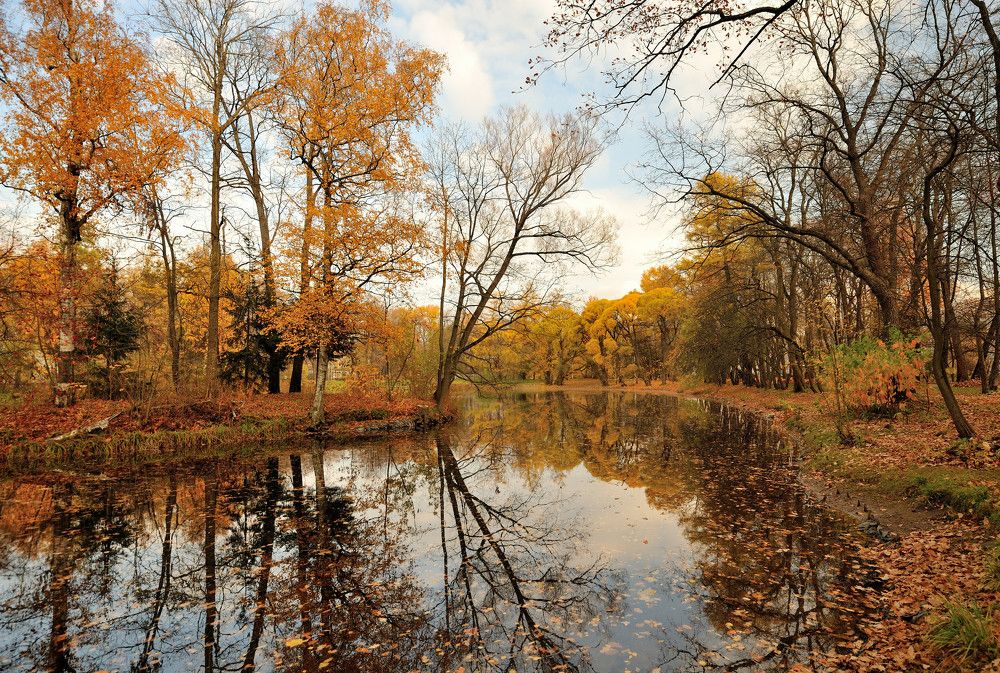 Photograph by Андрей Вестмит