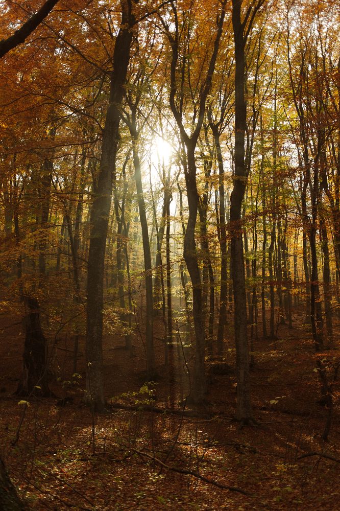 Благословение