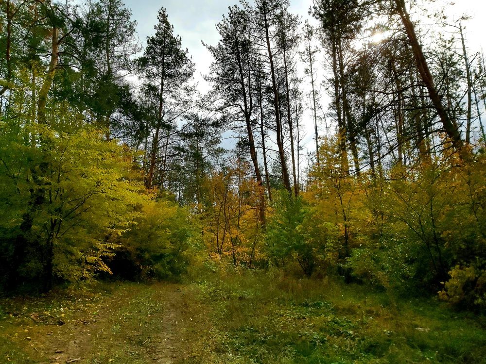 Photograph by Оксана Боднарчук