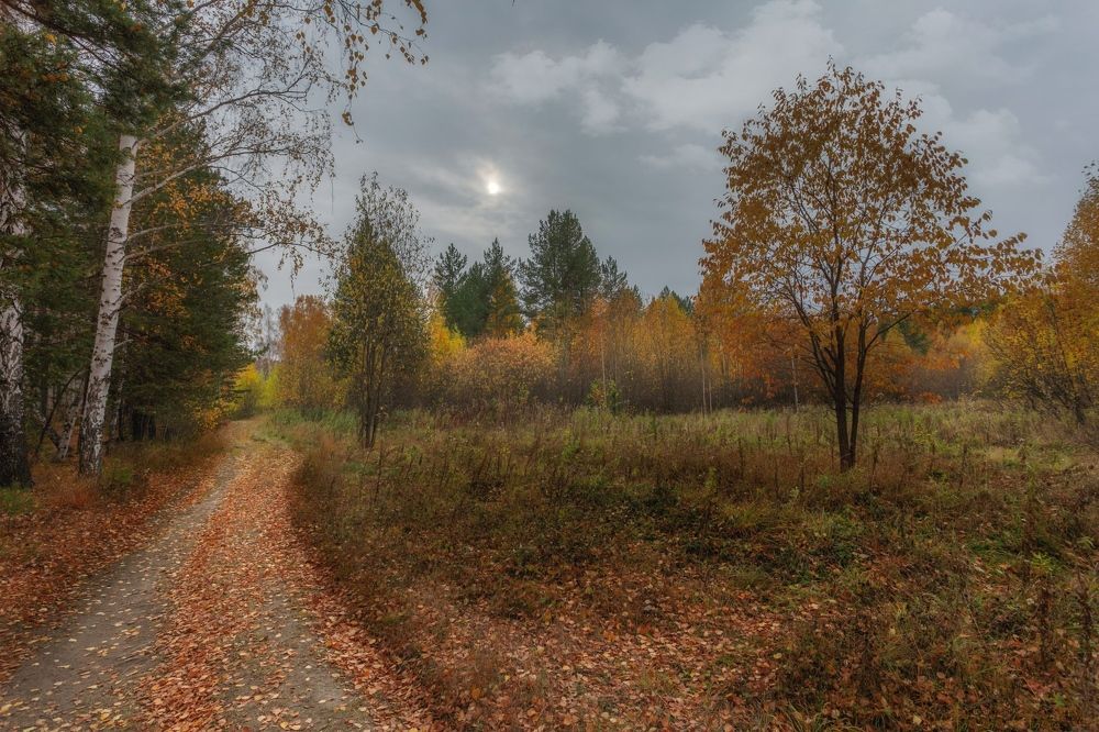 Photograph by Алексей Егорычев