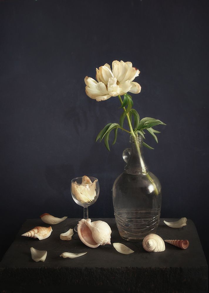 Photograph by Ionika Mink