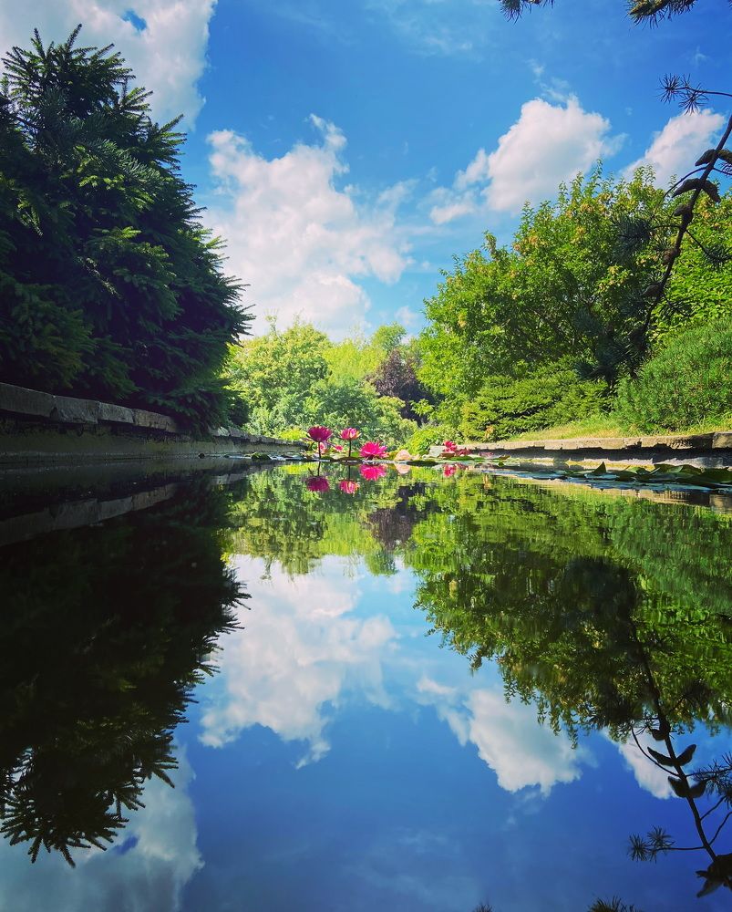 Photograph by Олеся Чехунова