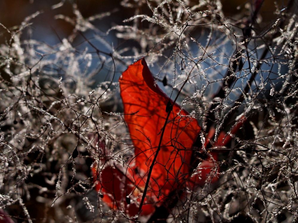 Photograph by Александр Петренко