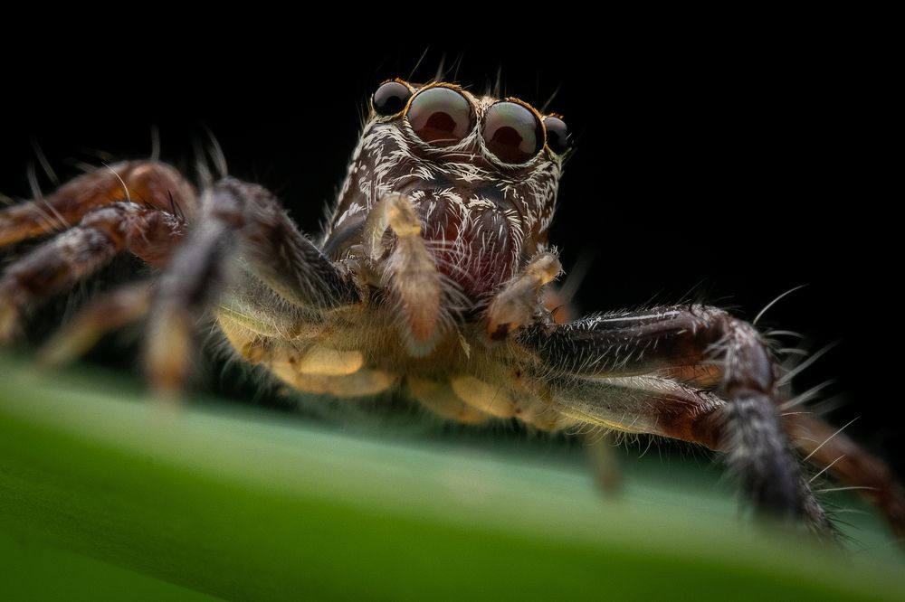 Photograph by Nicholas Ng