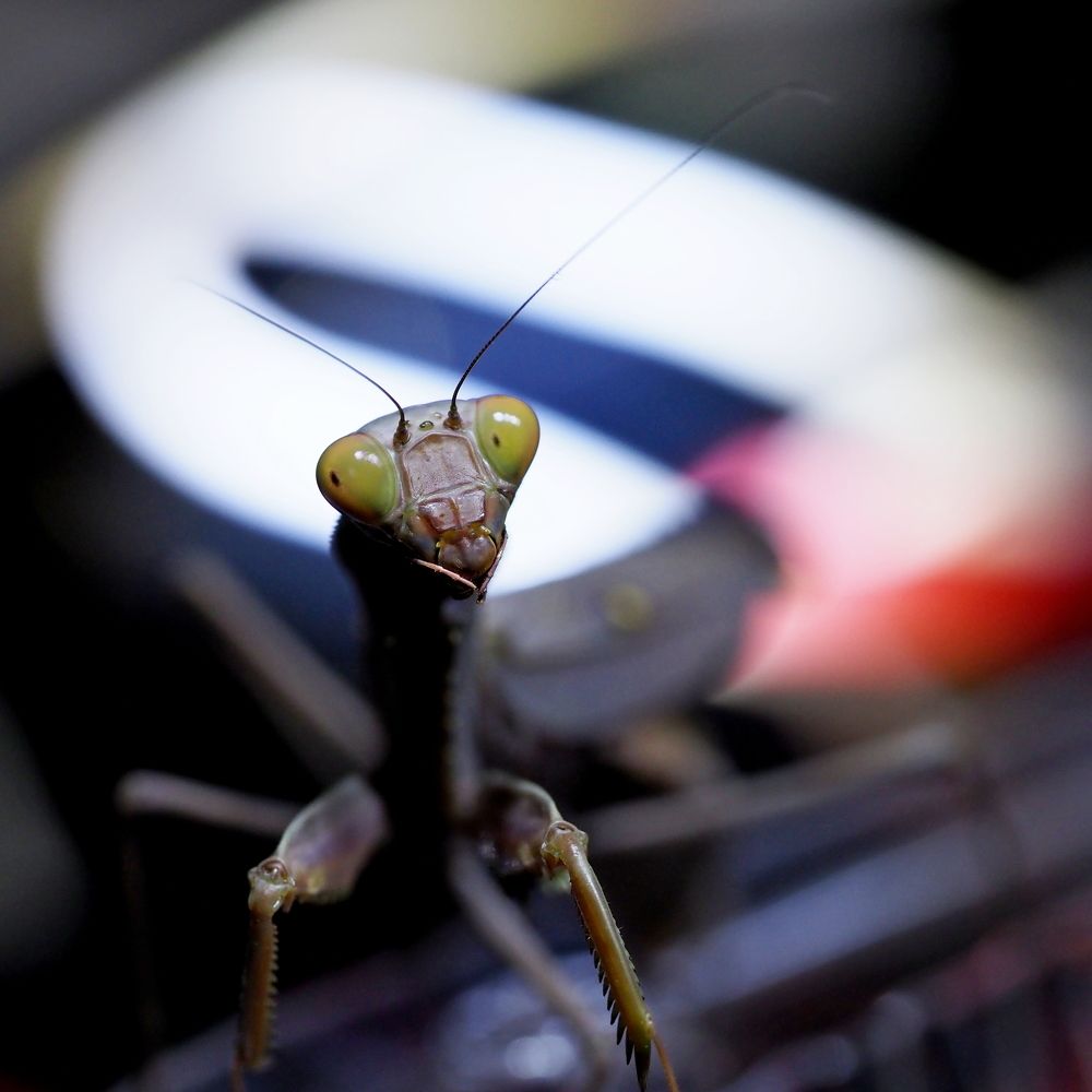 Photograph by Александр Петренко