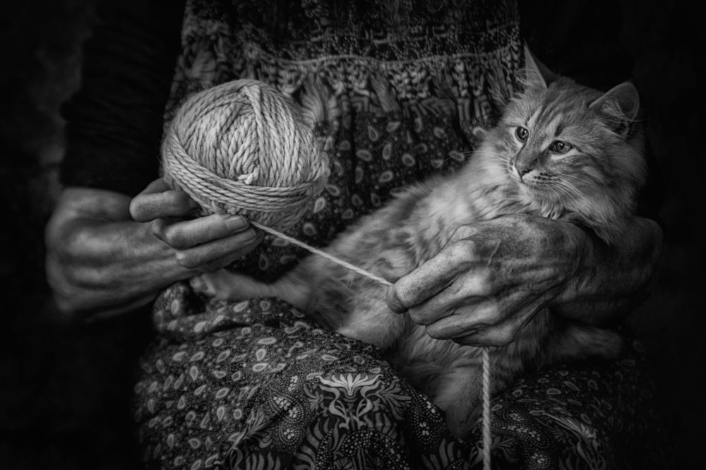 Photograph by Teodora Sarbinska