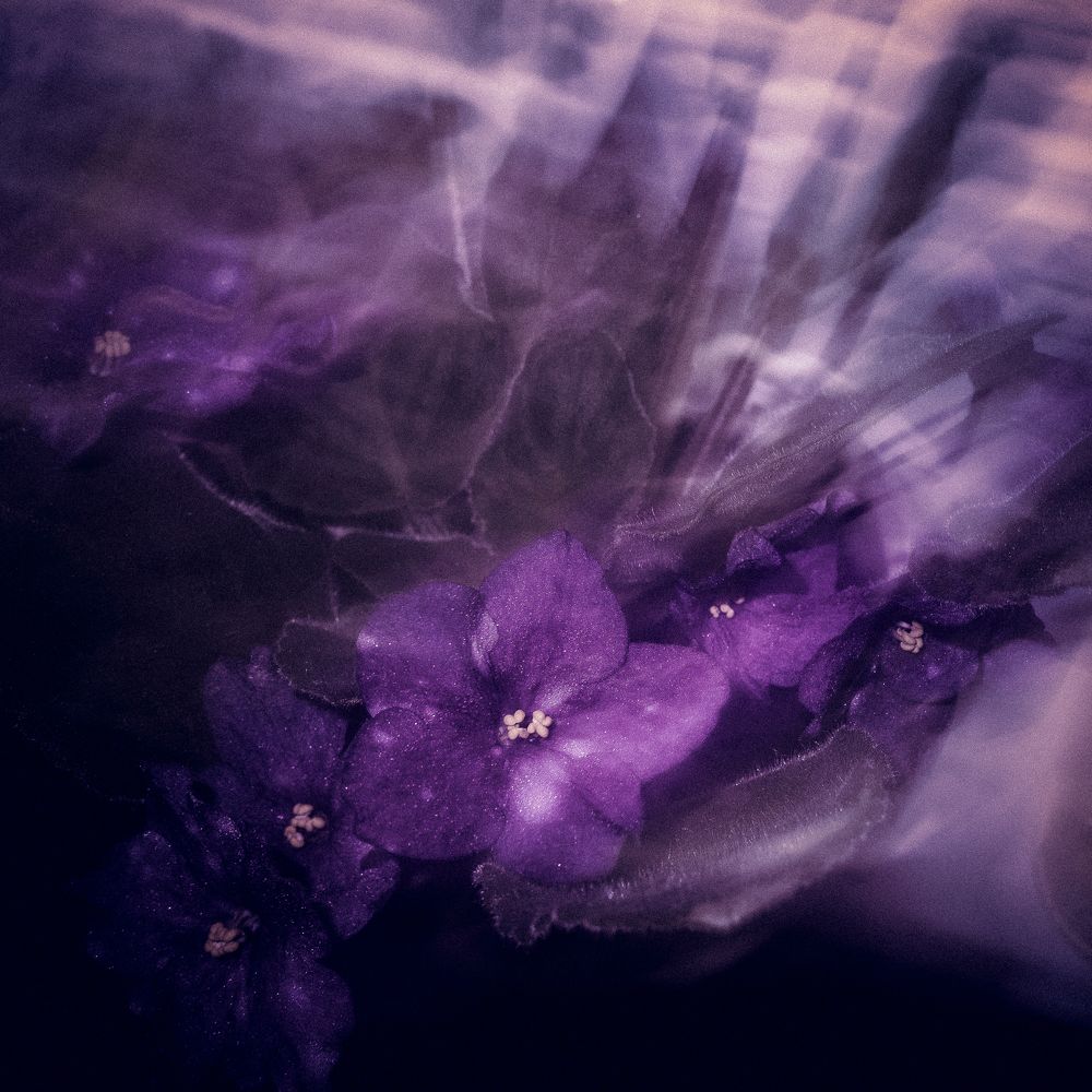 Photograph by Валентина Михайлова