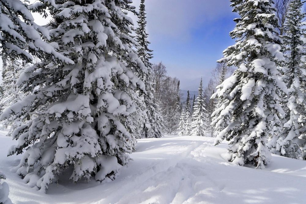 Фотография автора Татьяна Добровольская