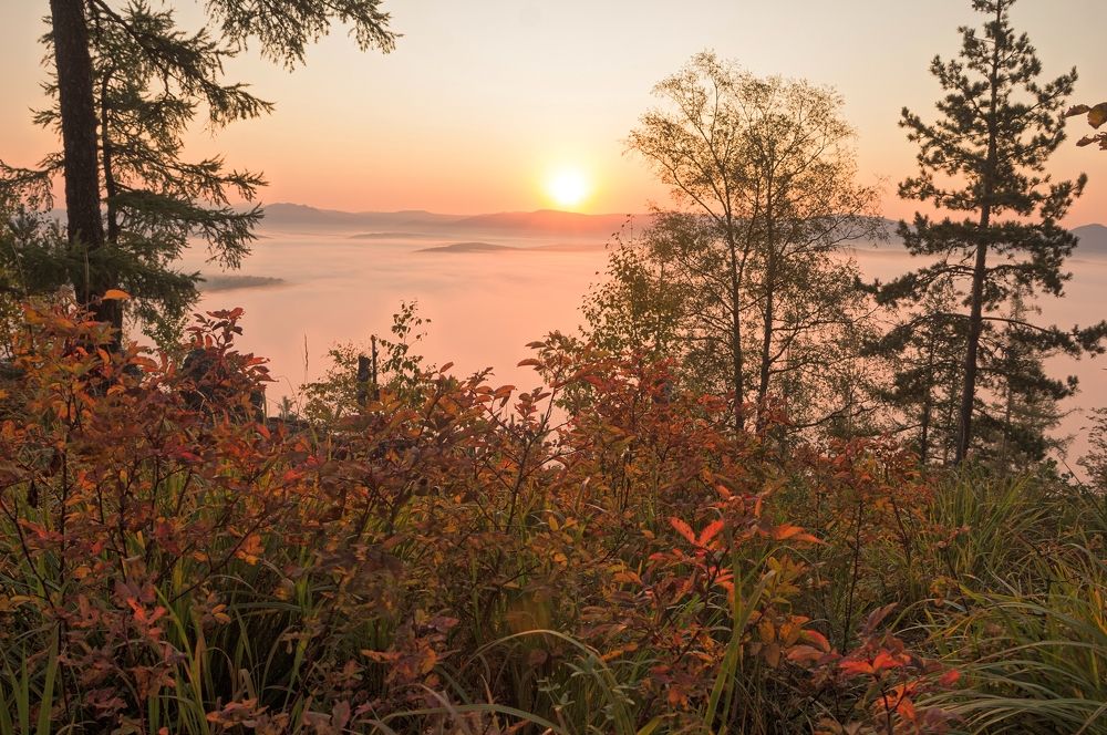 Photograph by Елена Перминова