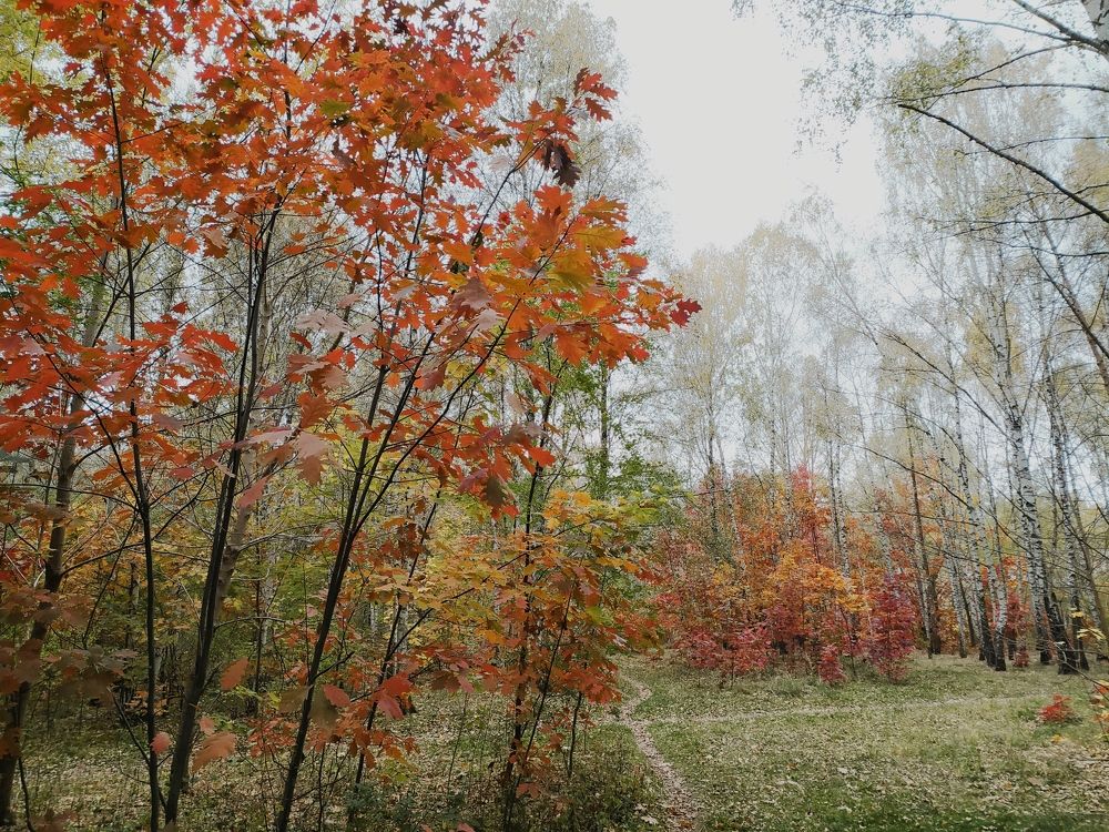 Photograph by Ирина Половцева