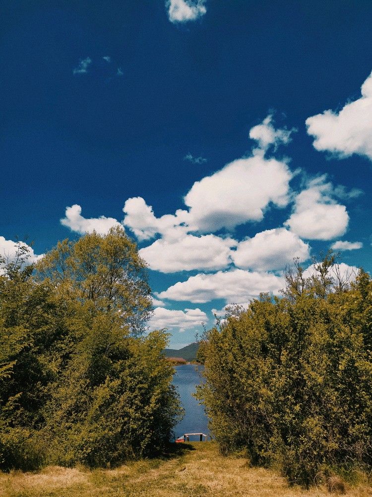 Приют для души