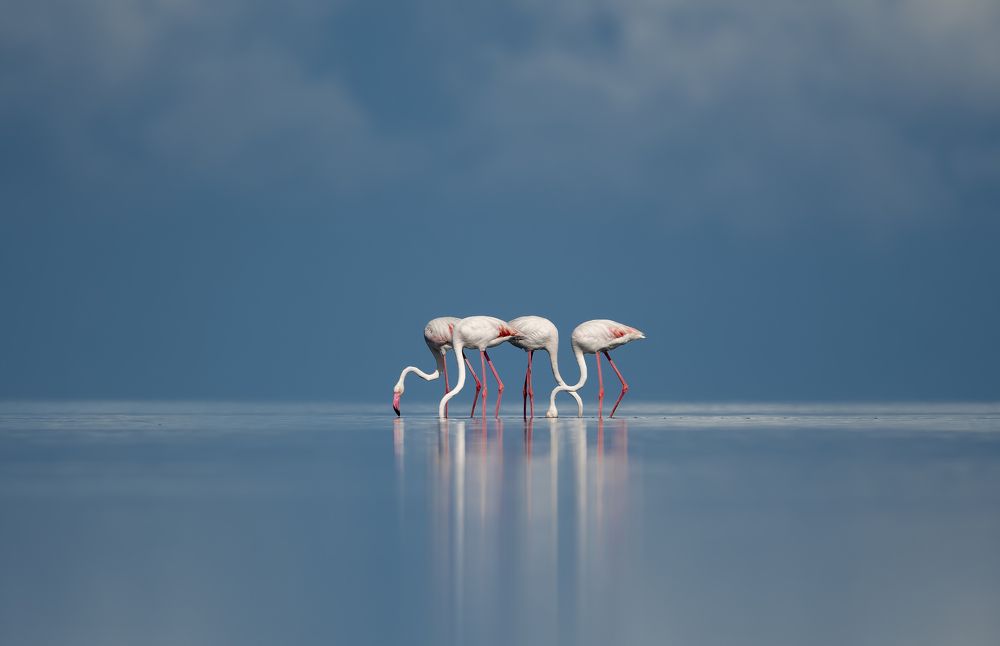 Photograph by Ajit kumar S