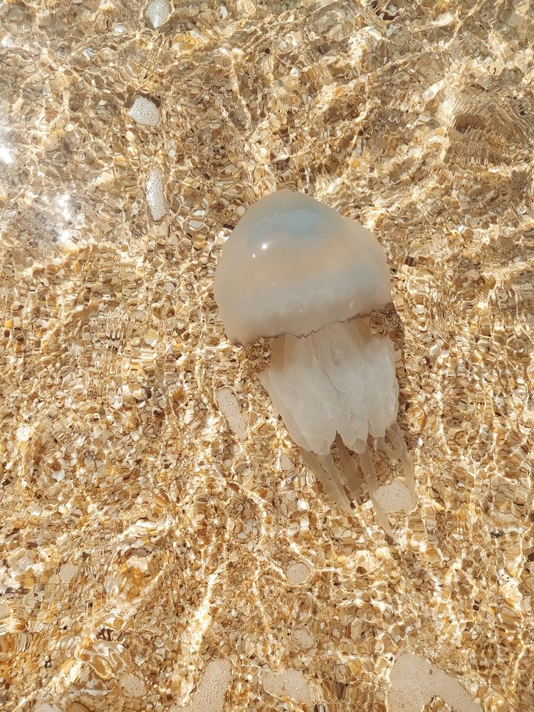 Прекрасна и опасна