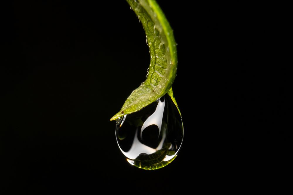 Photograph by Bruna Pinto Pereira