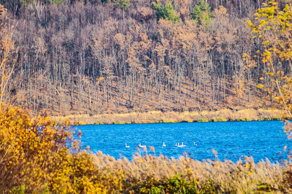 Photograph by Денис Геранькин