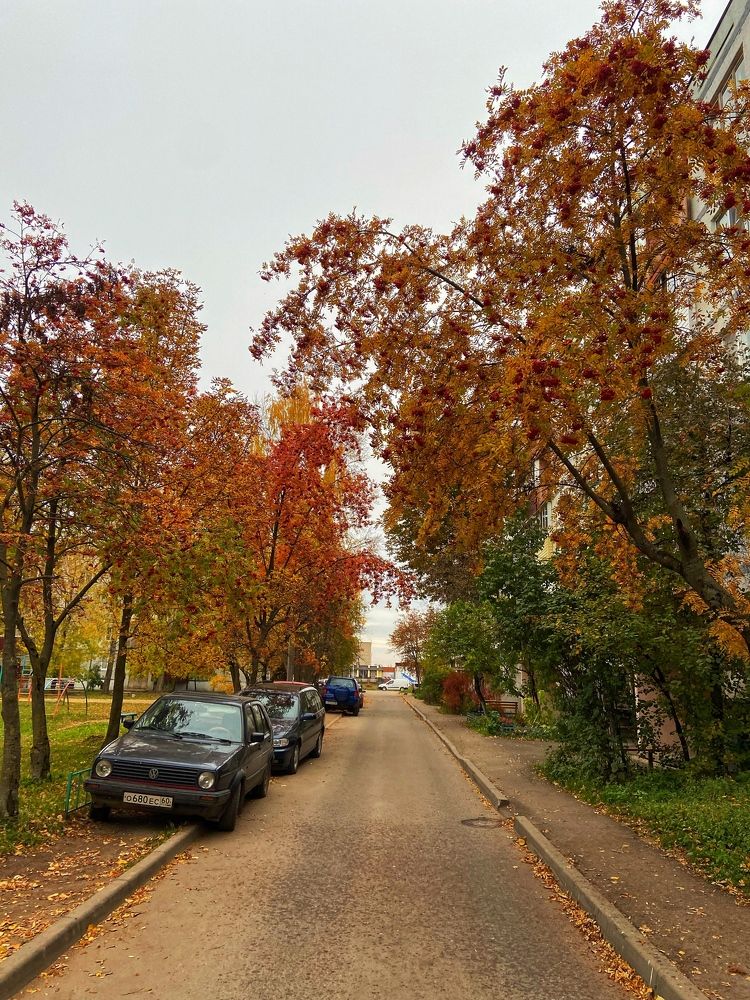 Photograph by Олеся Чехунова