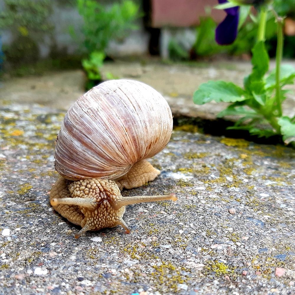 Фотография автора Ирина Лукьянчик