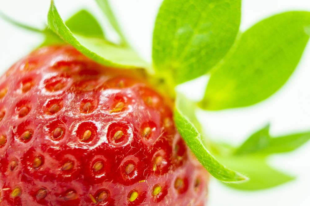 Photograph by Павел Минкевич