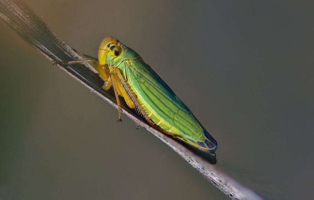 Photograph by Андрей Зимин