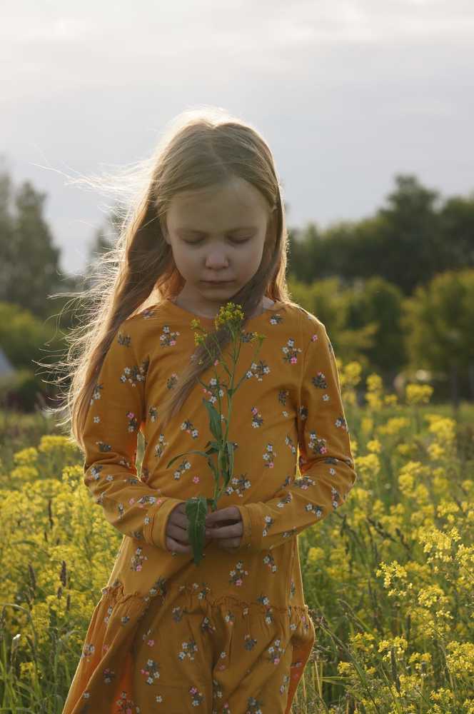 Фотография автора Михаил Викторов