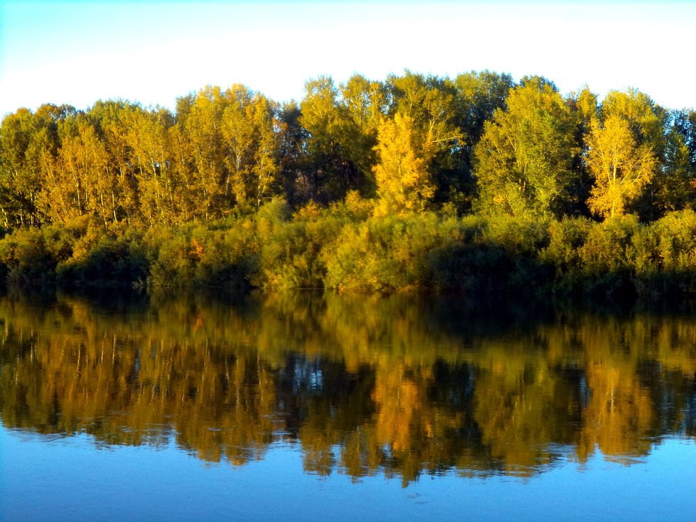 Photograph by Анастасия Старикова