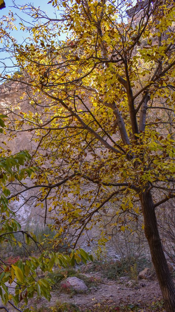 Photograph by Fatemeh Jamalian