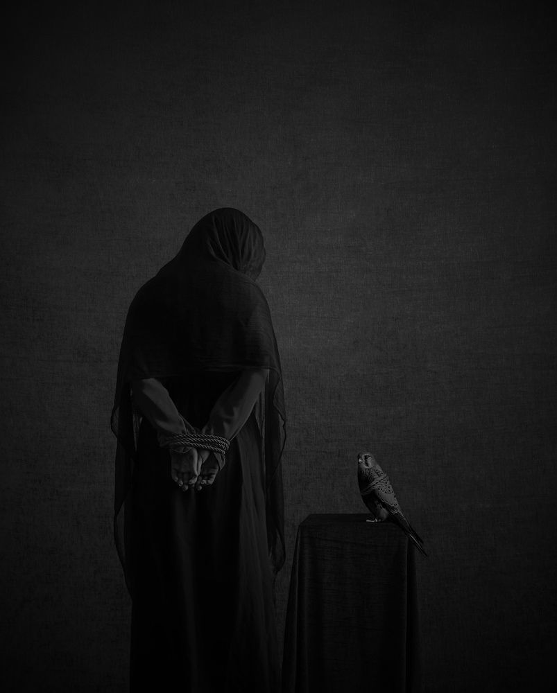 Photograph by Faeze Sahraei