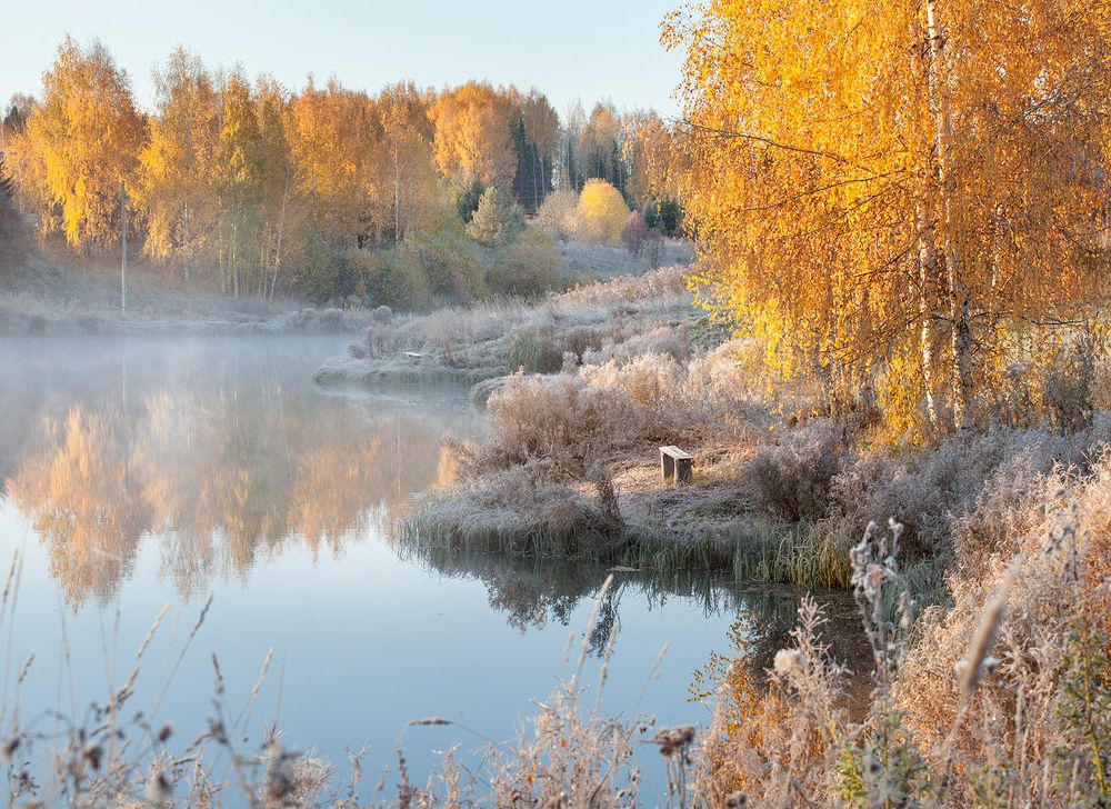 Лёгкая осенняя грусть