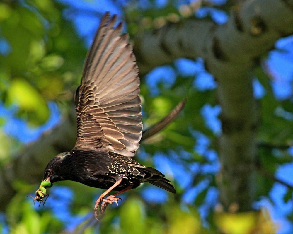 Photograph by Galina Tsmyg